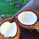 Buko Pie - 코코넛파이 이미지
