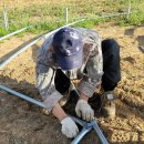 김영석 농장 이미지