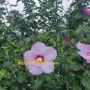 일양공인중개사사무소 이미지