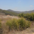 곡성-163 이미지