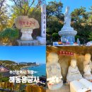 유동커피해동용궁사점 | 부산 여행 가볼만한 곳, 기장 해동용궁사 위치 주차 관람 꿀팁 후기
