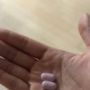 멜라드림 후기 | 식물성 멜라토닌 2mg, 수면 유지에 도움됐던 솔직 리뷰
