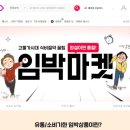 11 이미지