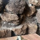 한라맥주상인점 이미지