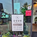 울산 무거동 미용실 울산대 근처 염색잘하는 곳 감성살롱