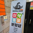 애니멀샵 | 남양주 파충류샵 애니멀리움 햄스터 데리고 온 후기