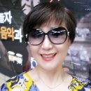 세종악기사 이미지