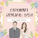 (W10) 드디어 정했습니다. 신혼여행지 어디갈지 고민된다면 (ft 뉴질랜드)