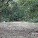 김경승 묘 이미지