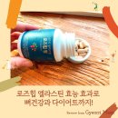 겨리우리피쉬 | 로즈힙 엘라스틴 효능 효과로 뼈건강과 다이어트까지!