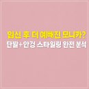 스타일링 이미지