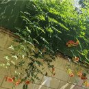 청승 모닝커피 이미지