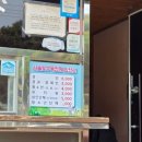 장흥군장애인단체사무실 | 장흥 가볼만한곳 하늘빛 수목정원 튤립 개화상황 남미륵사 방문후 추천