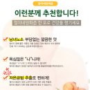 농협수삼랜드146호 | 철이네홍삼 홍삼양파즙 가성비좋은 국산양파100% 추천