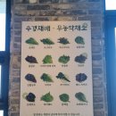 영종쌈밥 이미지