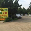 성호농원 | 광교저수지 맛집 용머리 농원 솔직 후기 1000%
