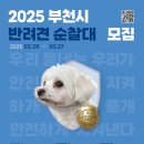 202 이미지