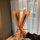 히든하우스 이미지