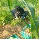 청계리농장 이미지