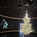 무지개사우나 | 양양 설해원 온천사우나&amp;면역공방찜질 추천후기