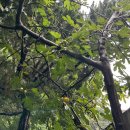 순덕농장 이미지