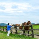 청옥목장 이미지