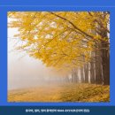 경성대학교 임상약학대학원 이미지