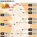 강원산소 이미지