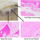 조인트힐병원 이미지