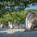 [경주/캠핑장/글램핑] 산내자연캠프 예약 경쟁 치열한 인기 캠핑장 솔직 후기