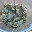 산밭골횟집 이미지