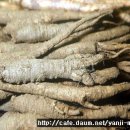 강남민박 이미지