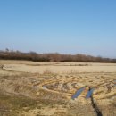 안일영농 이미지