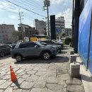 놀러오개 | 서산 애견호텔 놀러오개에 꼬모 맡긴 후기