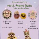 곡식이네 수제간식 이미지