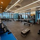 림 휘트니스센터 | 헬린이 탈출 각 잡았다! 분당 서현에서 인생 센터 찾은 썰 풉니다