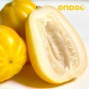 건양유통 이미지