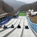 좌구산 썰매장 이미지