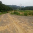 현장사진:당진IC7분 지방도로및마을인근100%관리지역토지(귀촌방목,버섯재배지시세23%수준) 이미지
