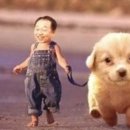 태풍은불어도철가방은간다 이미지