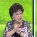 사미자 카카오 검색결과