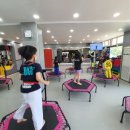 단국대스타태권도장 이미지