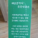 세알콩깍지 | 세알콩깍지 튼튼잇솔
