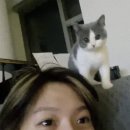 씨유 연남행복점 | 난아직만이십대어린이인데너무대단한걸바라네나한테