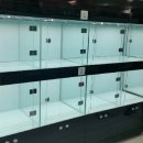 스마트 애견 이미지
