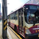 일선교통(주) 이미지