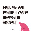 [핫핑크돌핀스 논평] 남방큰돌고래 안목이의 건강한 야생복귀를 희망한다 이미지