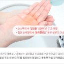 [식물성물비누/거품비누특가] 공장직영 손세정제리필 5L, 경제적으로 구매하세요! 이미지