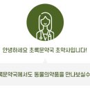 초록문약국 네이버블로그