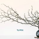 한오백년 이미지